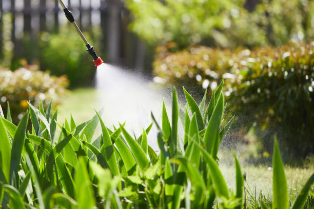 24/7 Emergency Mosquito Control experts in Council Grove, KS